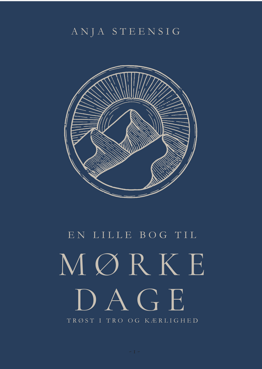 Bog: En lille bog til mørke dage