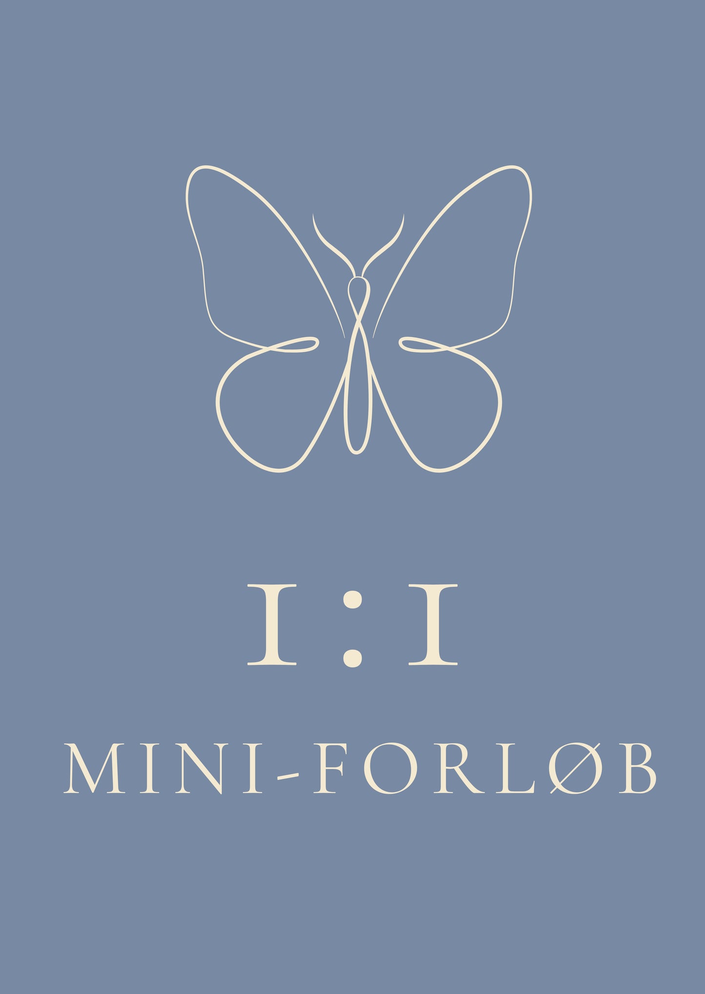 1:1 Mini-forløb